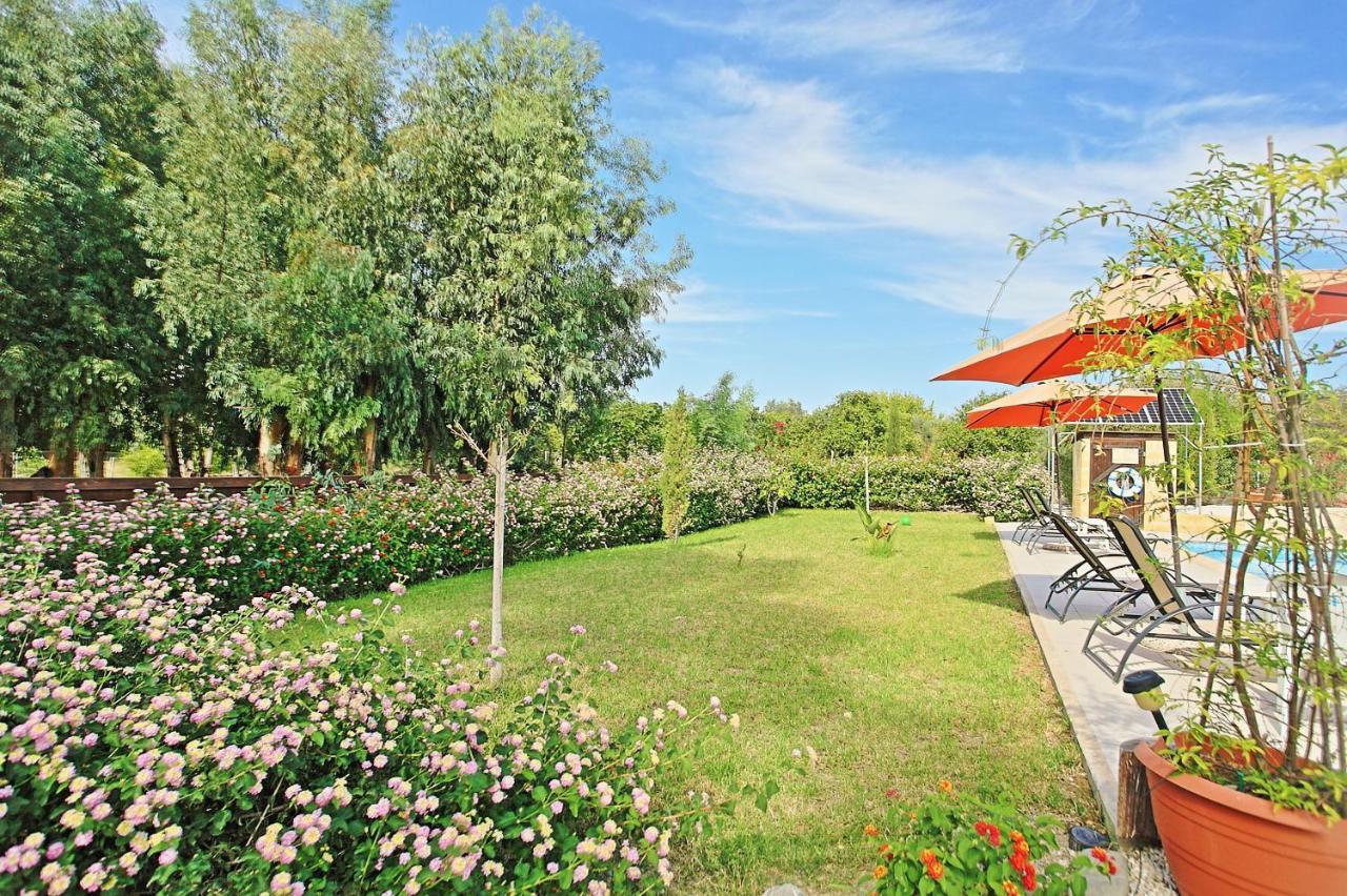 Villa Georgios Rafaela Polis ภายนอก รูปภาพ